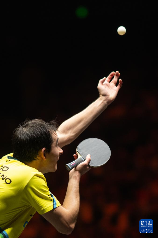 和坚定的球 和坚定的球